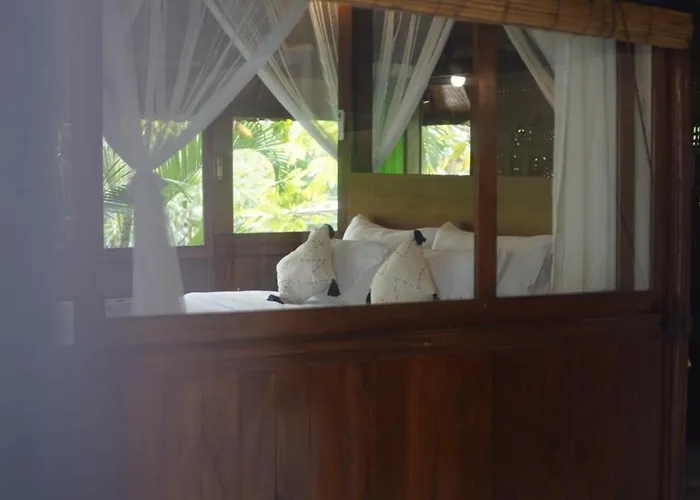Kura Kura House